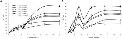 Research progress on microbial adsorption of radioactive nuclides in deep geological environments